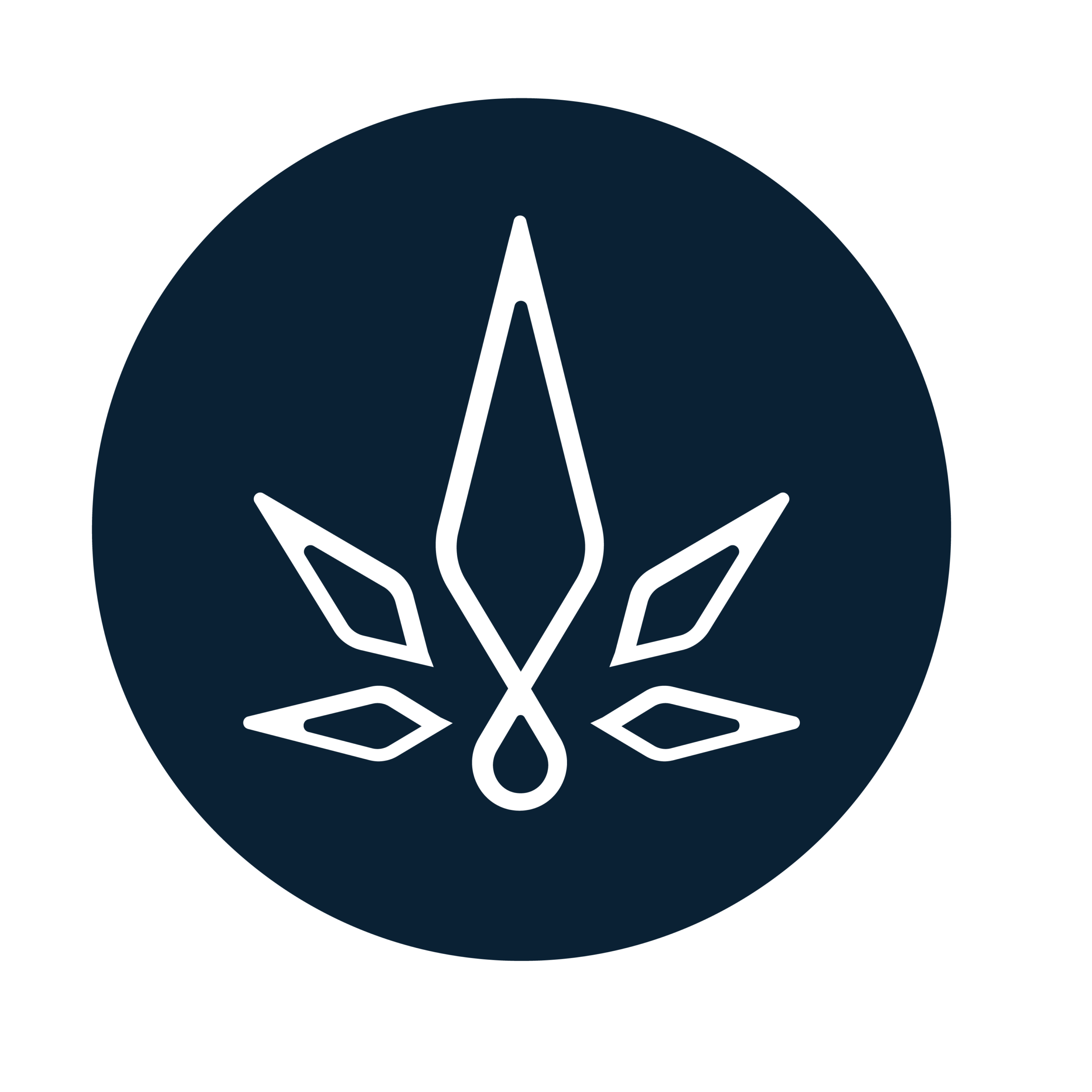 logo main